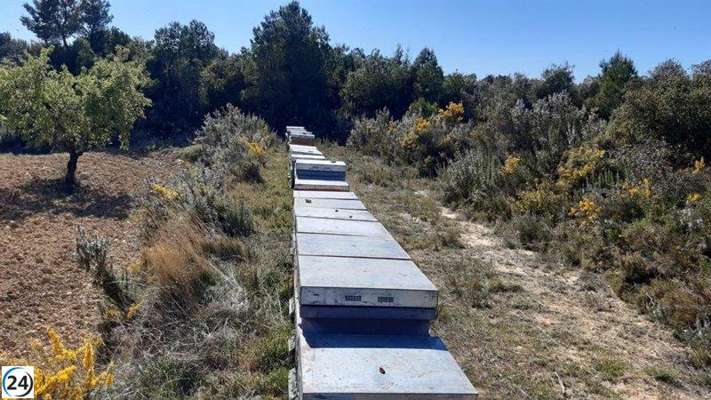 Buena cosecha apícola en Guadalajara dependerá de las condiciones climáticas