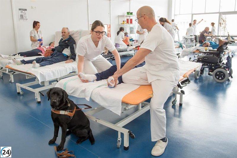 Hospital Nacional de Parapléjicos investiga prioridades en daño medular pediátrico.