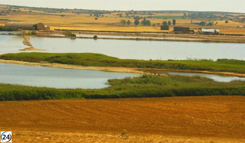 Humedales de Castilla-La Mancha celebran el Día Mundial con diversas actividades en la naturaleza