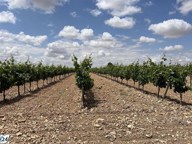La Junta crea un Comité para ayudar a los productores agroganaderos.