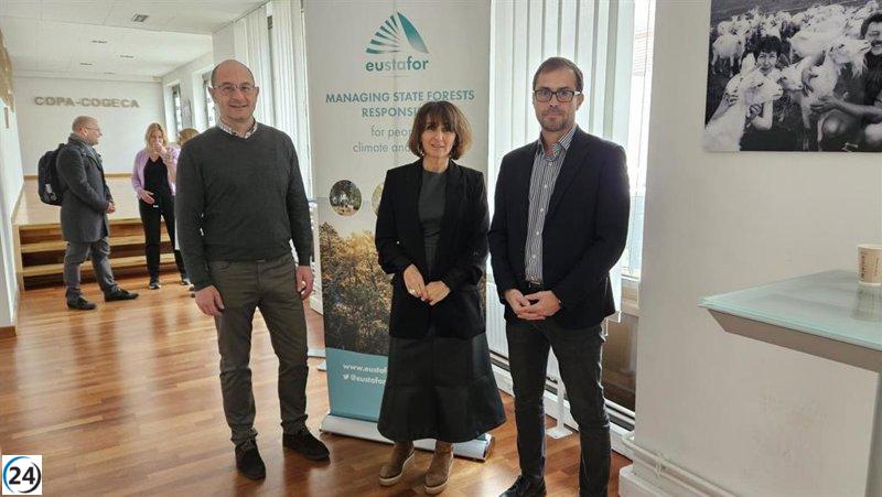 La Junta de C-LM destaca en Bruselas las peculiaridades del sector forestal en la asamblea de Eustafor.