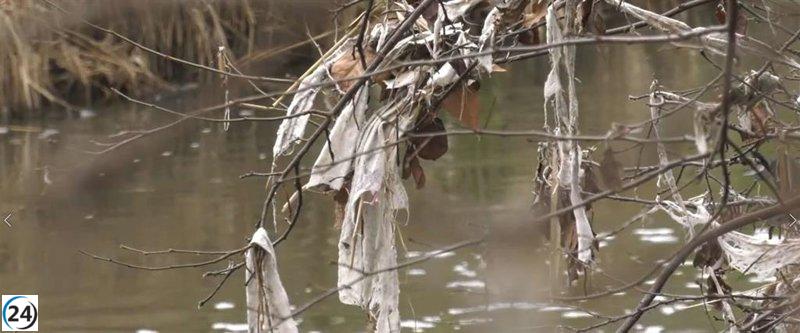 Colectivos denuncian el mal estado de los ríos en la cuenca del Tajo en el Día del Agua