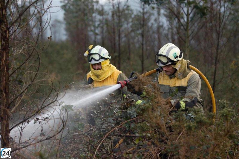 Defensor del Pueblo insta a fortalecer medidas antiincendios y a mejorar coordinación administrativa.