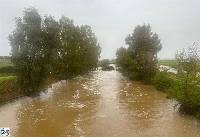 Gasset-Torre liberado de situación de emergencia por Nelson