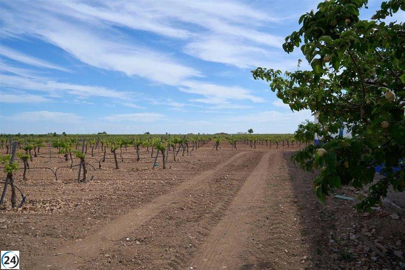 Plazos de solicitud de ayudas de la PAC no serán problema, según Consejero de Agricultura.