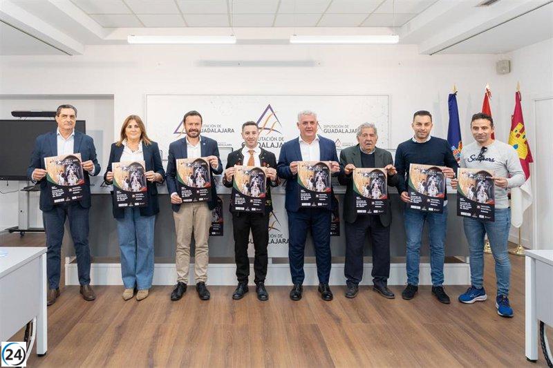 La tradicional Caballada de Atienza celebra su 862 aniversario el próximo domingo