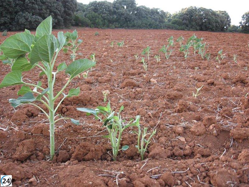 Asaja solicita encuentro con la Junta para tratar cambios en Ley de Montes de Castilla-La Mancha.