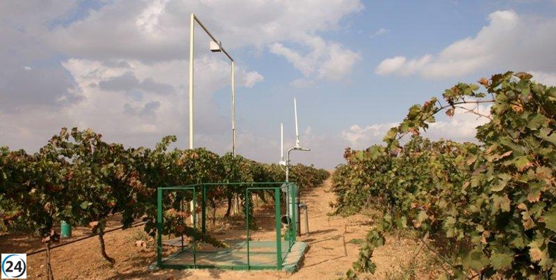 Estudio con 600.000 euros para impulsar la viticultura en zonas semiáridas, anuncia Viña-Raíces.