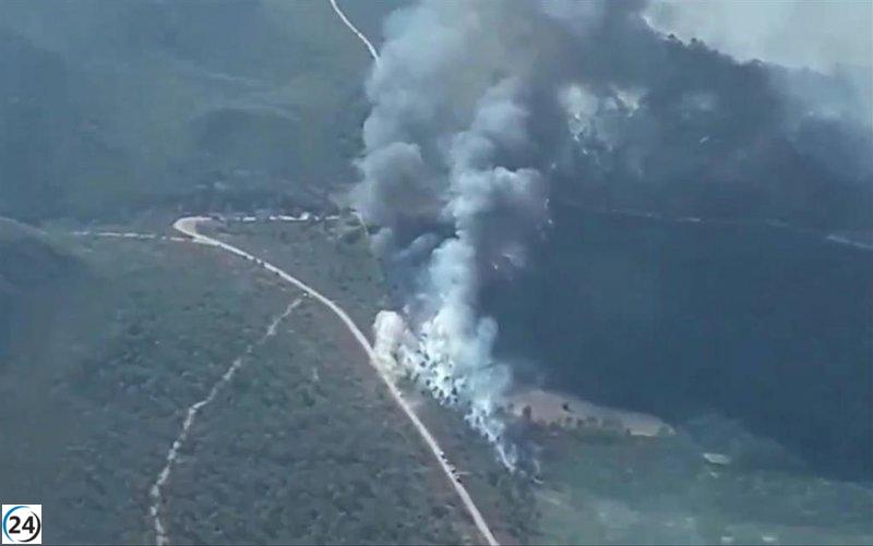 El incendio en Hellín ha sido controlado.