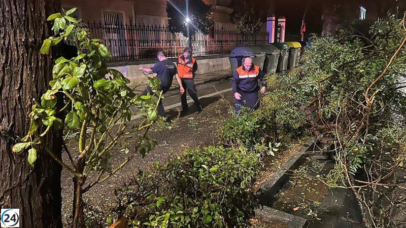 Lluvias intensas causan cierre de vereda del Henares en Guadalajara y provocan más de 30 problemas.