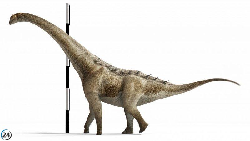 Nuevo dinosaurio gigante descubierto en Cuenca, España: el Qunkasaura pintiquiniestra, de hace 75 millones de años.