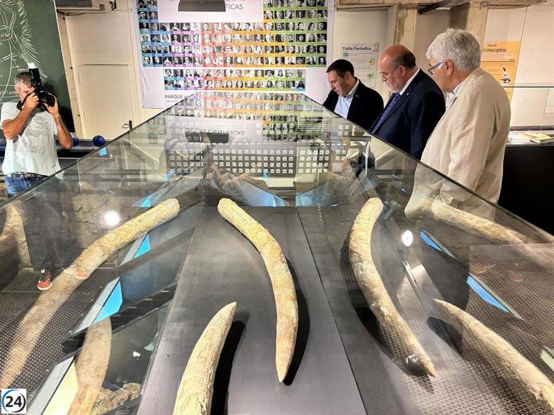 El Museo de Ciencias de Cuenca celebra su 25 aniversario con un homenaje a los trabajadores y una exhibición de Star Wars con piezas de Lego.