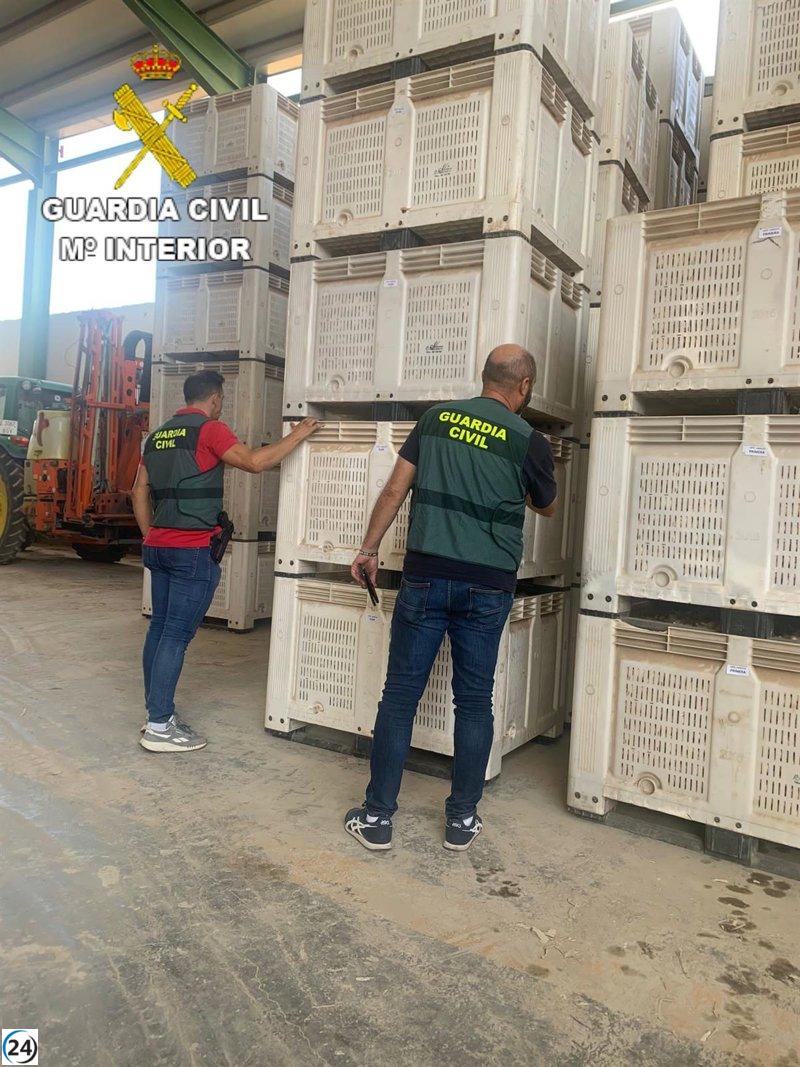 Desmantelados dos grupos delictivos por delitos de propiedad en La Mancha conquense.