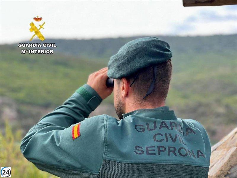 Guardia Civil identifica más de 30 violaciones de normas sanitarias en caza en Cuenca.