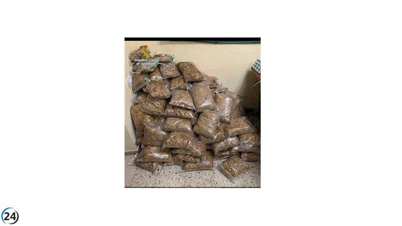 Desmantelan un millonario contrabando de tabaco en Puerto Lápice con más de 363 kilos incautados.