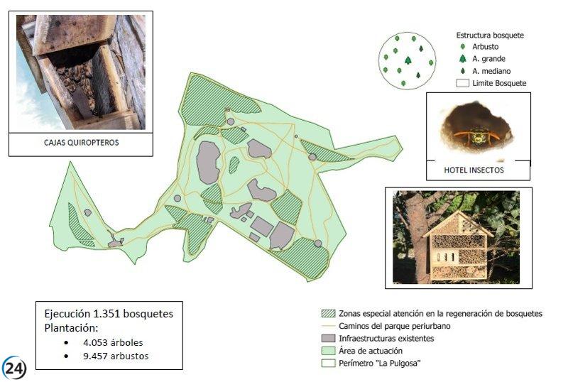 El Ayuntamiento de Albacete busca 2,6 millones de euros en fondos europeos para revitalizar La Pulgosa.