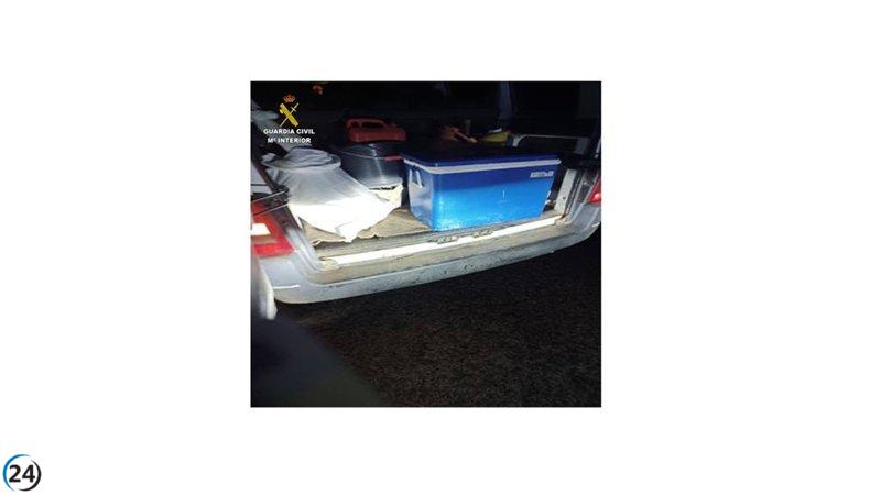 Tres arrestados por robos en fincas agrícolas en Herencia.