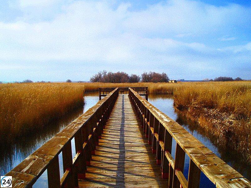 Asaja Ciudad Real exigirá renuncias si no se detiene el bombeo en las Tablas de Daimiel y solicita un trasvase para su inundación.