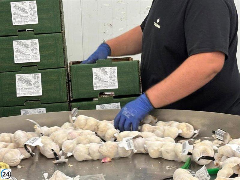 La Junta destina 3,8 millones de euros en apoyo a Agrupaciones de Productores Agroalimentarios.