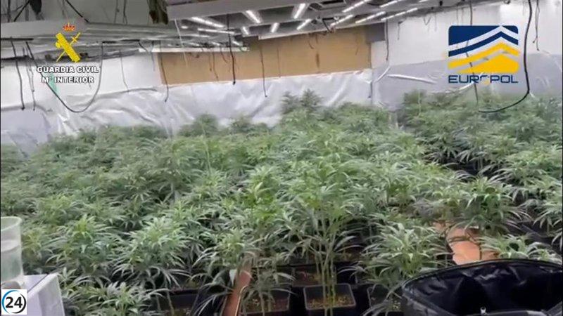 Cae una red de narcotráfico: 38 arrestos por el tráfico de 5,5 toneladas de droga a Europa desde España.
