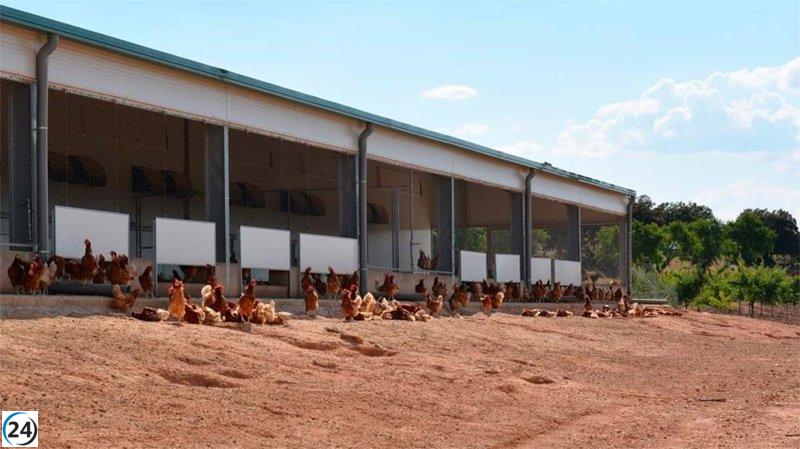 Rujamar renace tras el incendio: instalaciones reparadas, nuevos centros de producción y expansión a Gran Canaria.