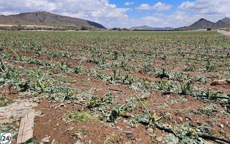Diputación de Albacete pedirá que se declare zona de emergencia a municipios afectados por granizadas.