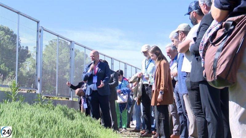 Agrosemillas inaugura nuevas instalaciones en El Peral para innovar en cubiertas vegetales para cultivos.