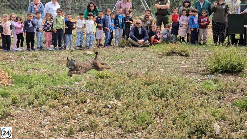 C-LM transfiere un lince ibérico a CyL, marcando un hito en la colaboración entre comunidades.