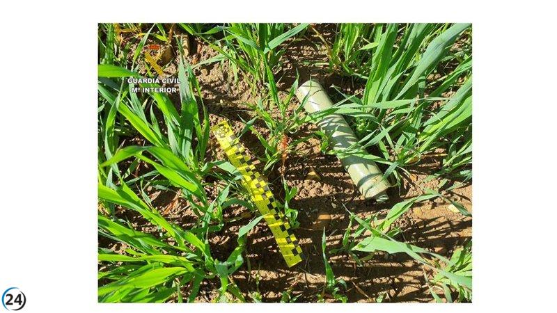 Tres individuos en la mira por caza furtiva en Los Pozuelos de Calatrava.