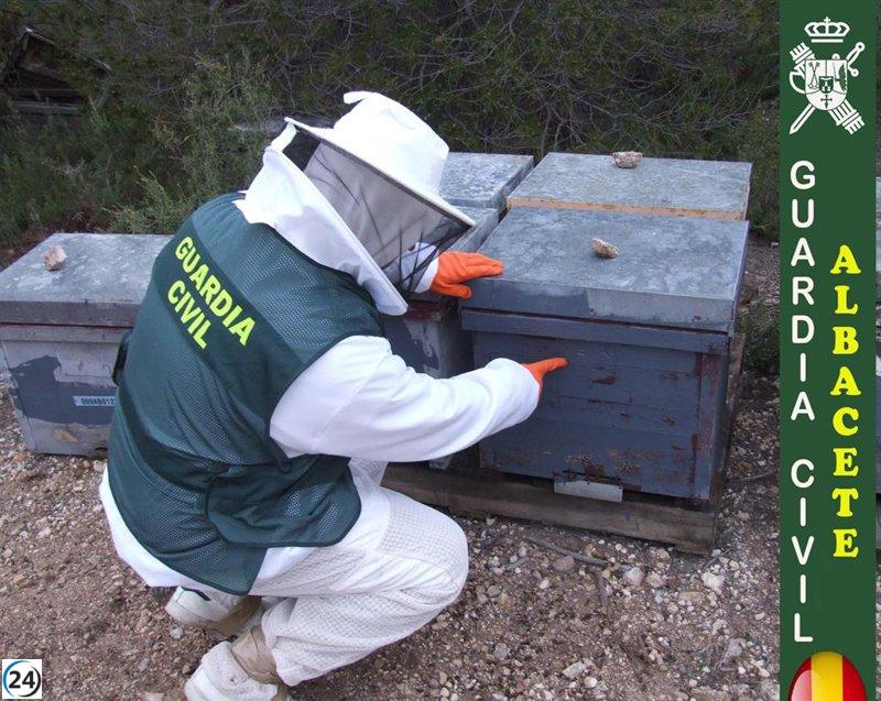 Dos arrestados por sustraer 53 colmenas en Almansa con el fin de obtener subvenciones.