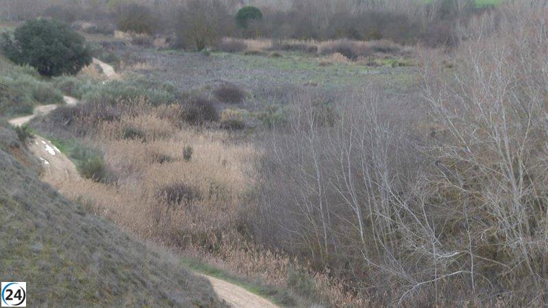 La Policía reanuda la búsqueda de los restos de la víctima del 'Rey del Cachopo' en Carranque.