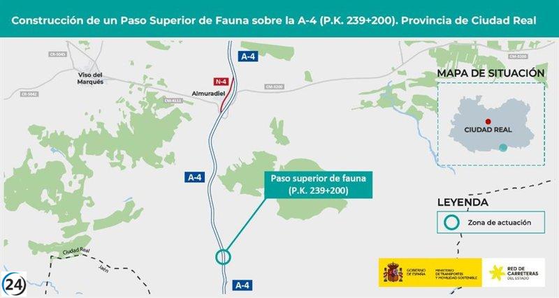 Gobierno da luz verde a construcción de paso elevado para fauna en la A-4 en Almuradiel.