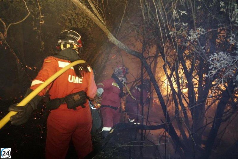 La UME mantiene su operación en Méntrida con 123 militares y recursos avanzados.