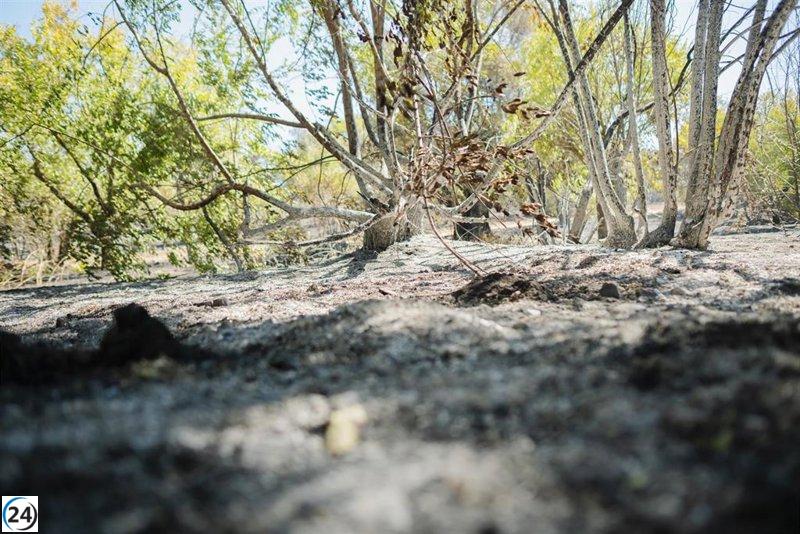 Incendio en Méntrida logra ser controlado.
