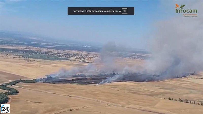 Incendio forestal en Maqueda, bajo control.