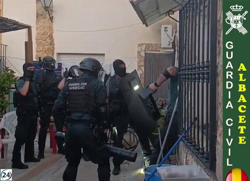 Cuatro arrestados en Letur por cultivo de marihuana destinado al festival musical local.