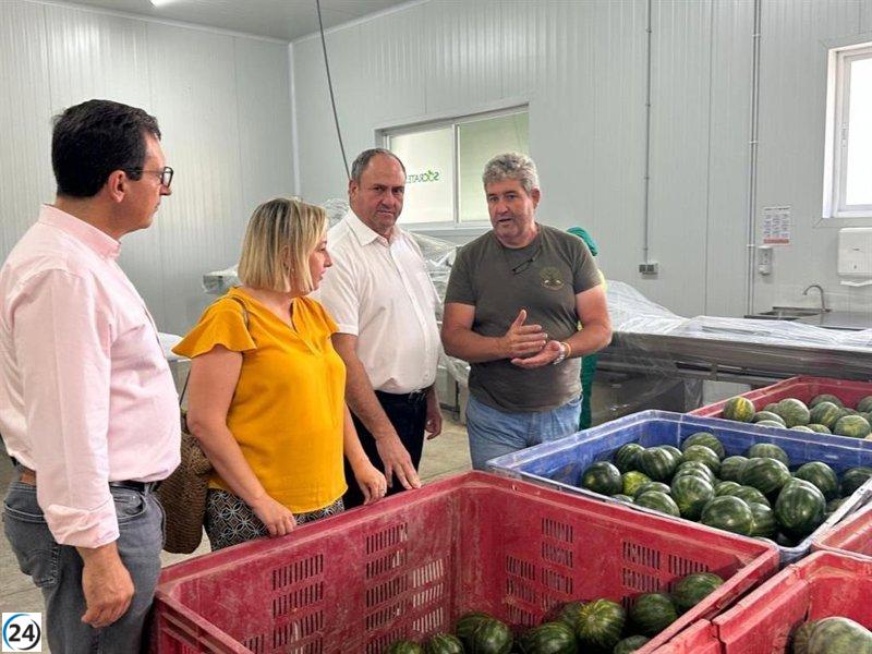 Gobierno de C-LM celebra la buena campaña de melón y sandía, pero critica sus precios reducidos.