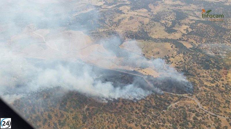 C-LM pide apoyo a la UME para combatir el incendio en Navalmoralejo.