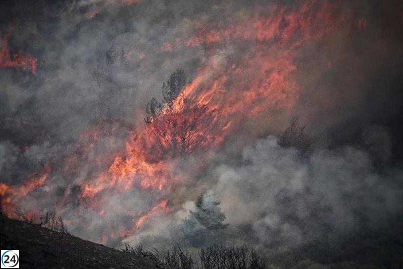 “Un descuido con una colilla provoca un devastador incendio en Méntrida, Toledo, que arrasa más de 4.000 hectáreas, afirma Nofumadores.”