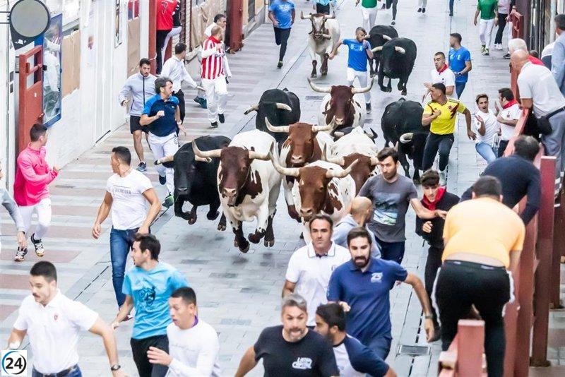 Guadalajara celebra el cierre de sus encierros con un aclamado recorrido y pocos contratiempos.