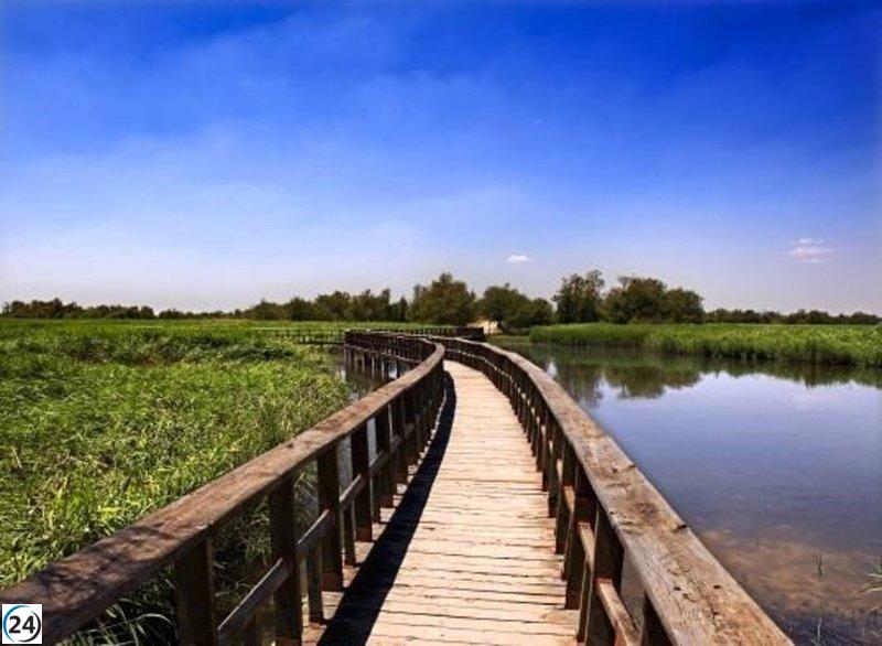 Gobierno destina 114.000 euros en ayudas a nueve municipios de Cabañeros y Las Tablas de Daimiel.