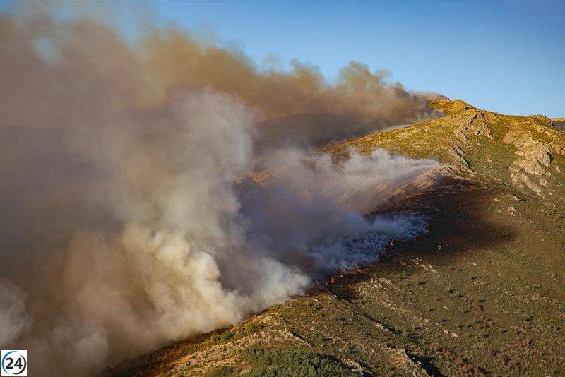 Medios aéreos reactivan operaciones en el incendio de Peñalba de la Sierra, que sigue en alerta nivel 2.