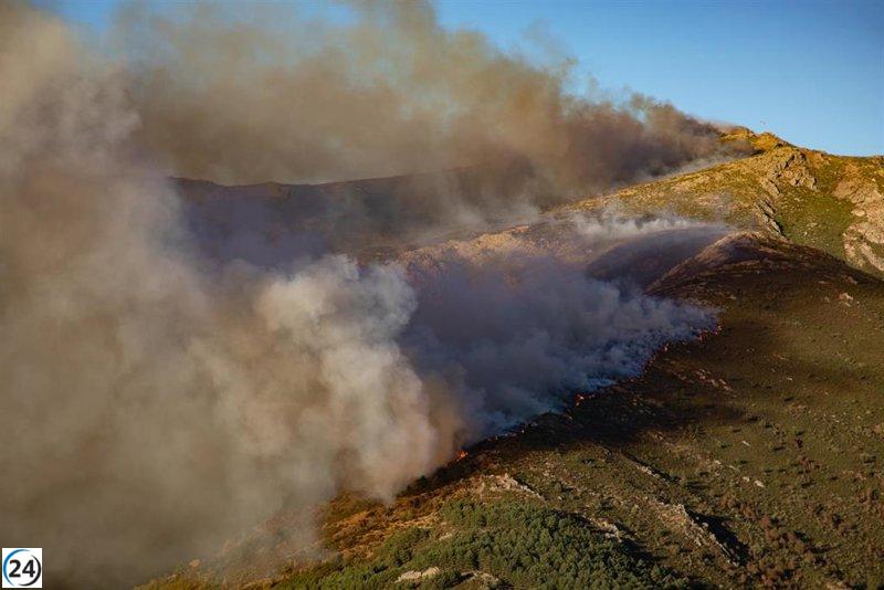 Incendio en Peñalba de la Sierra, bajo control.