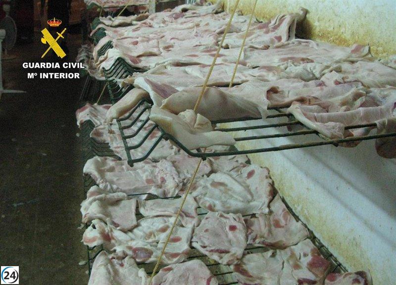 Cierra en Hellín un negocio de carnes por irregularidades en licencias y salud.