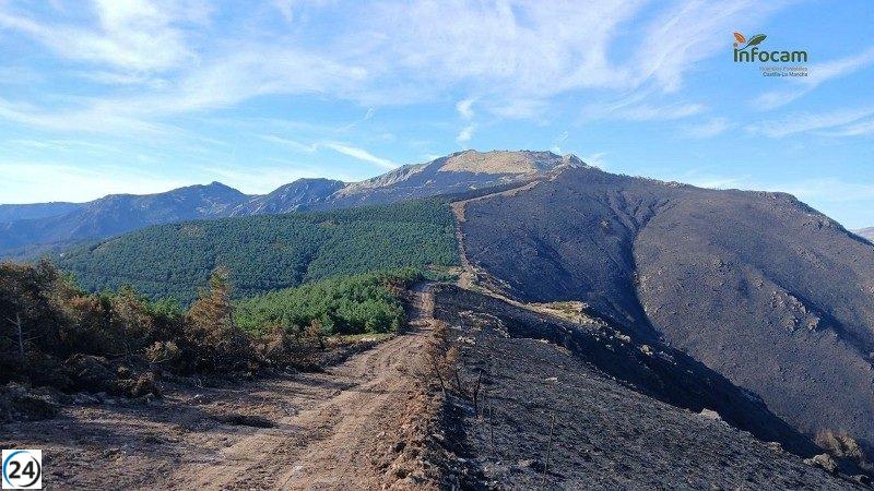 Se intensifican las labores de control del incendio en Peñalba de la Sierra, Guadalajara.
