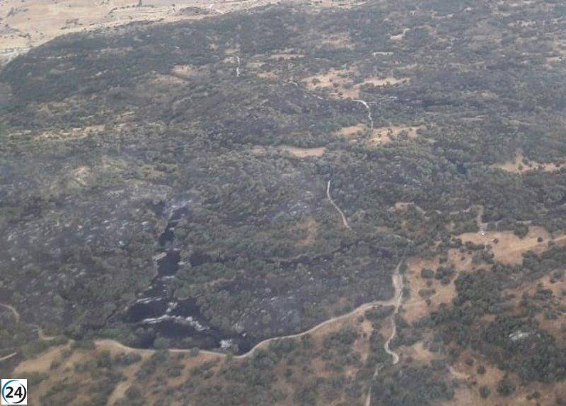 Continúan los esfuerzos para apagar el incendio en Almorox, enfocándose en eliminar los puntos críticos.