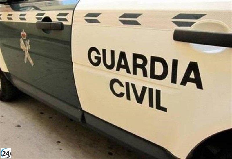 Arresto en Fuentesbuenas por cultivo de diez plantas de marihuana en un hogar.