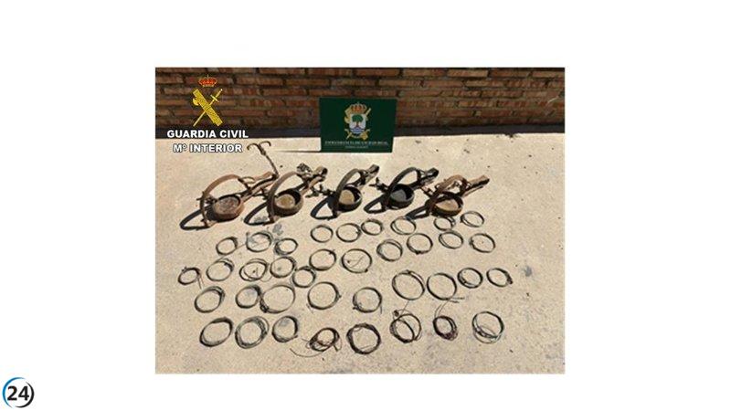 Seprona desmantela equipos ilegales para la caza de fauna silvestre en Ciudad Real.