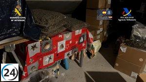 Detienen a 15 por tráfico de marihuana a Alemania y Polonia desde Toledo y Madrid.