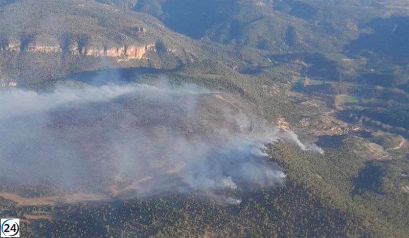 El incendio de Ocentejo se extinguirá pronto y deja 210 hectáreas afectadas.